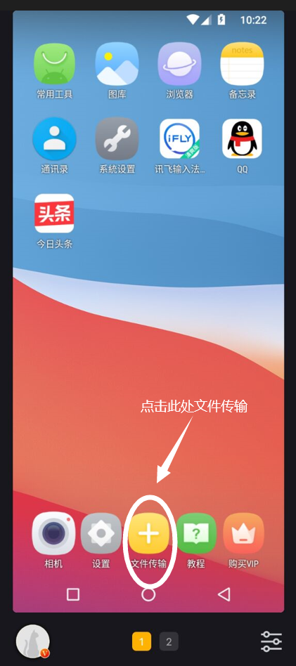 黑猫盒子2025