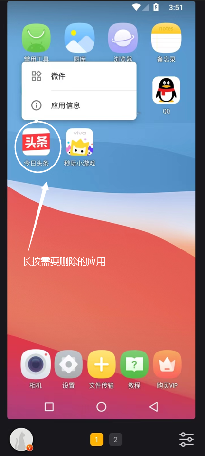 黑猫盒子2025