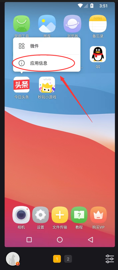 黑猫盒子2025