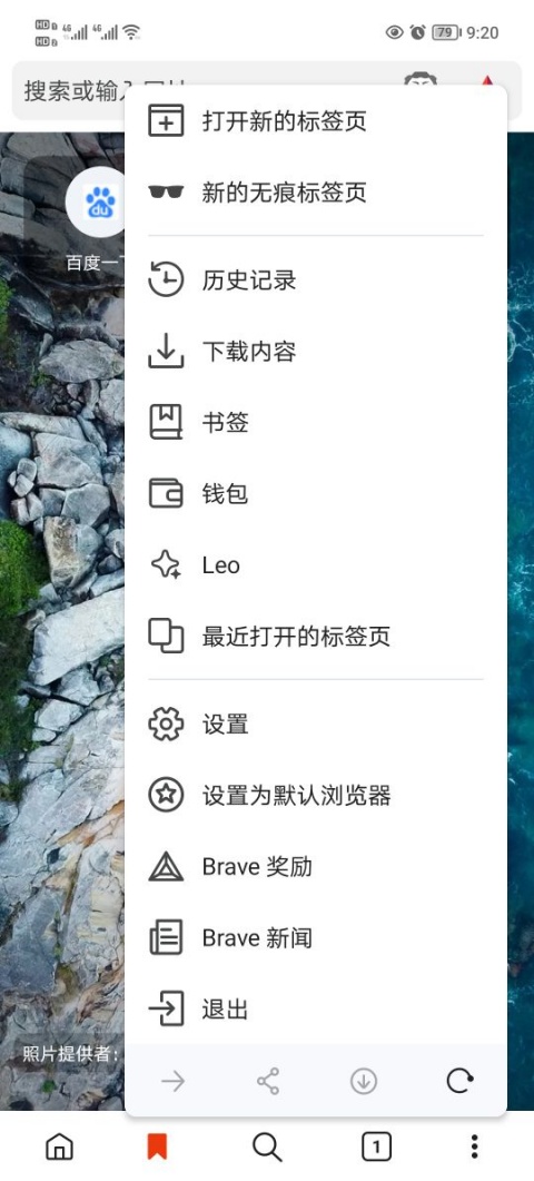 Brave浏览器截图1