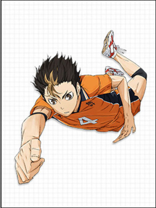 排球少年新的征程