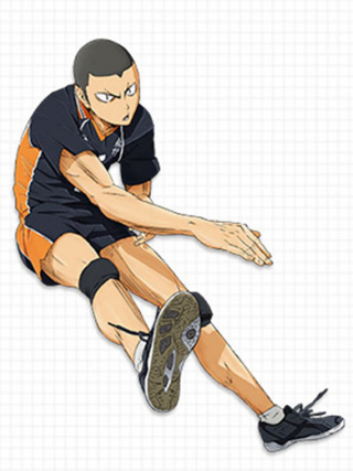 排球少年新的征程