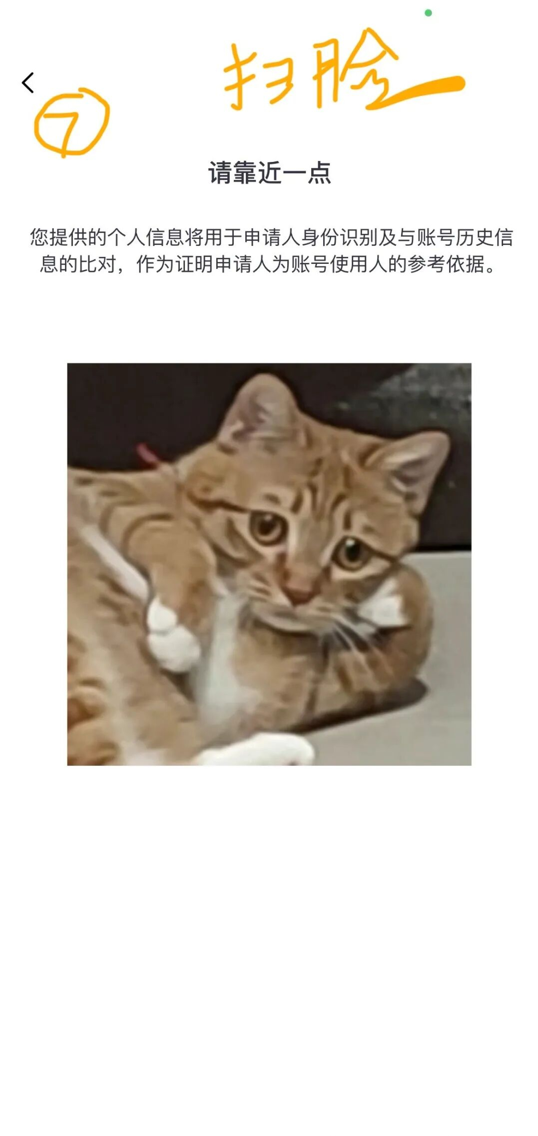 网易大神极速版