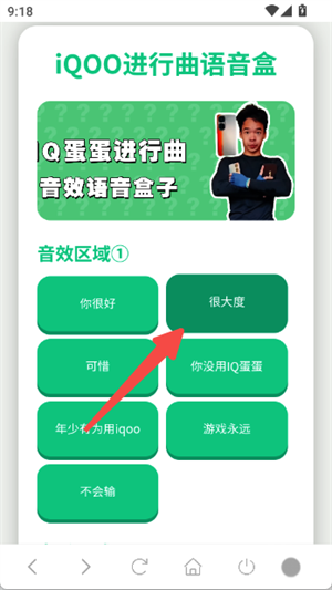 iQOO进行曲语音盒