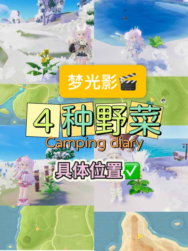 心动小镇光影庆典野菜与泡泡位置