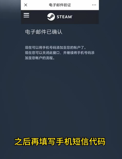 Steam中文版