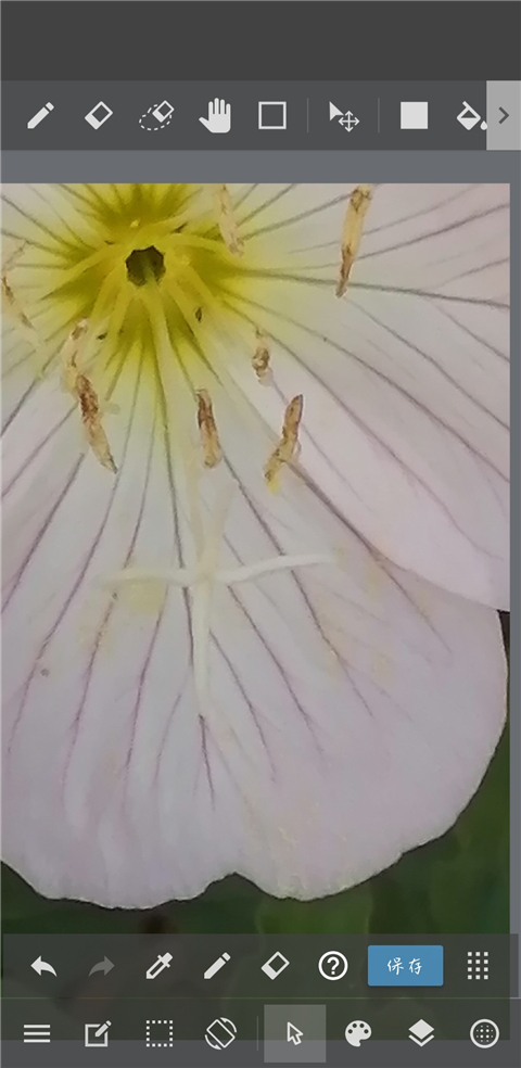 MediBang Paint安卓版