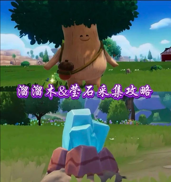 3月26日心动小镇溜溜橡木和无暇荧石位置