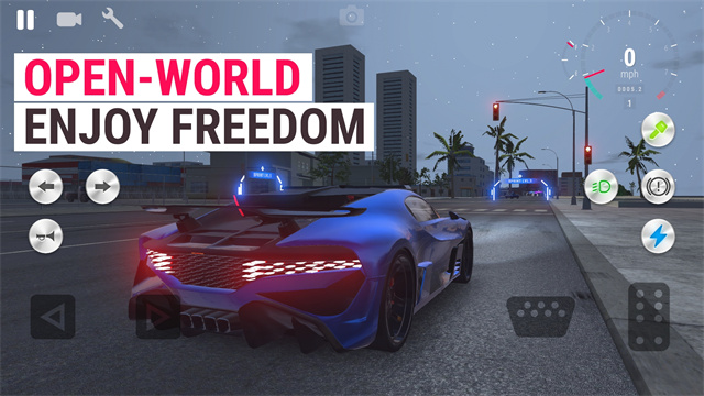 真实驾驶学校截图3