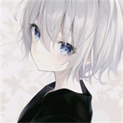 摸金内部直装3.0