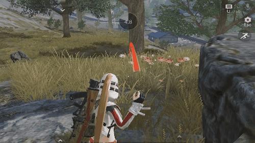 荒野行动国际服