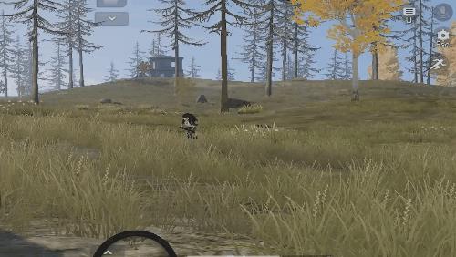 荒野行动国际服