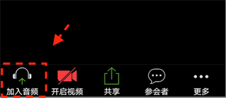 Zoom视频会议