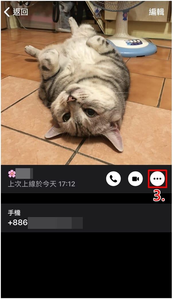 纸飞机聊天软件