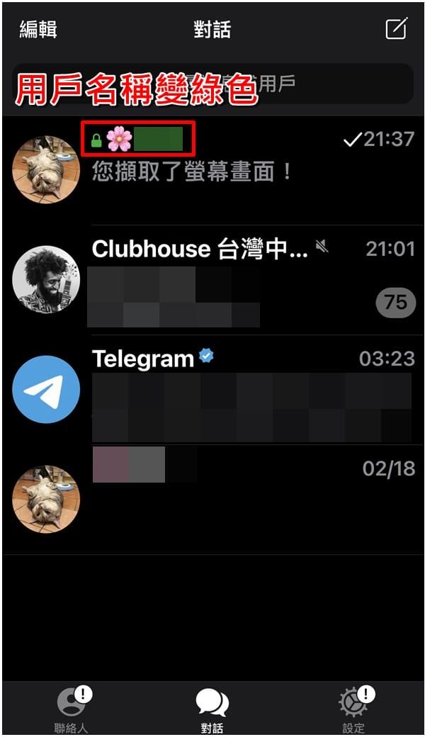 纸飞机聊天软件