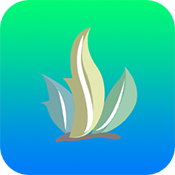 海草助手