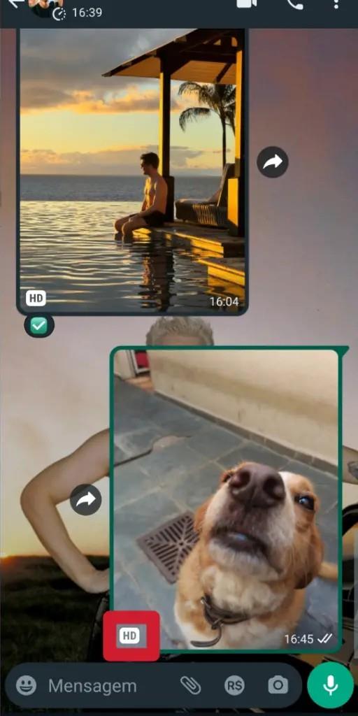 whatsapp for android