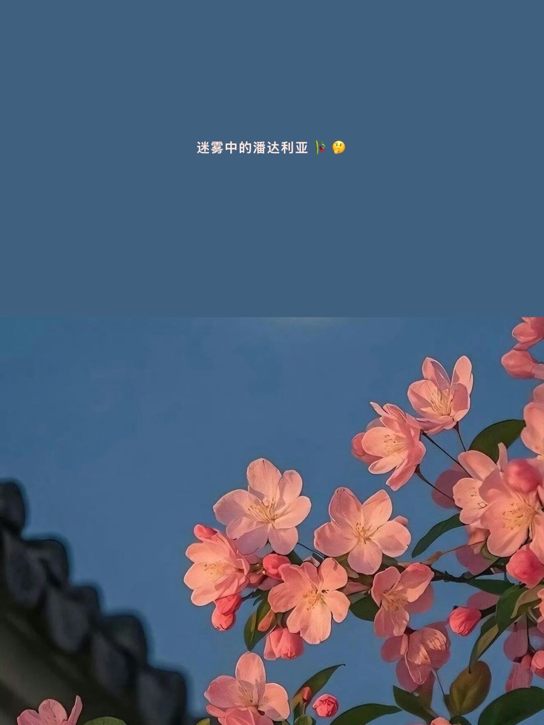 PhotoColors多彩照片