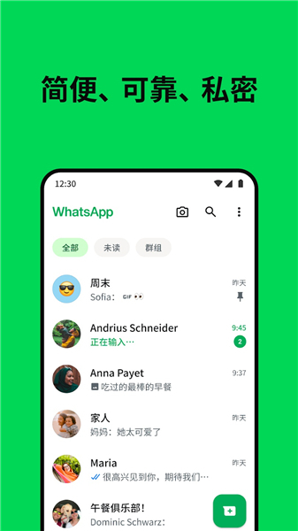 whatsapp英文版截图3