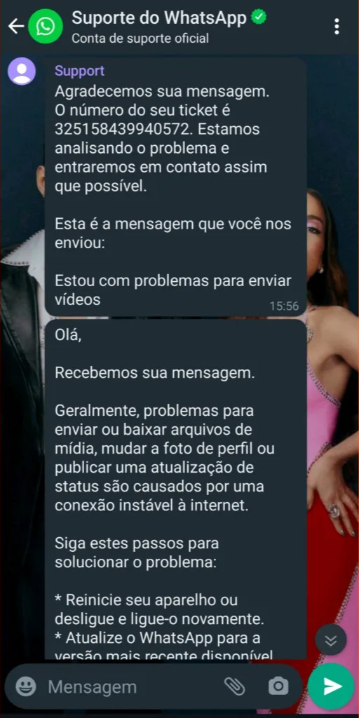 whatsapp英文版