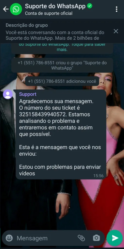 whatsapp英文版