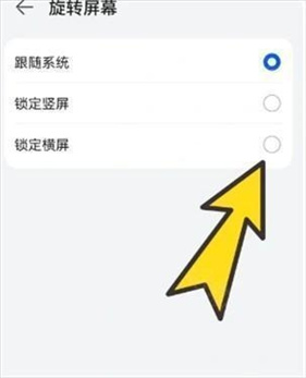 啵啵浏览器无国界