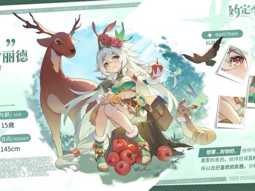 约定之日国际服