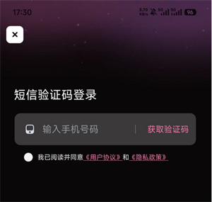 AI虚拟伴侣聊天