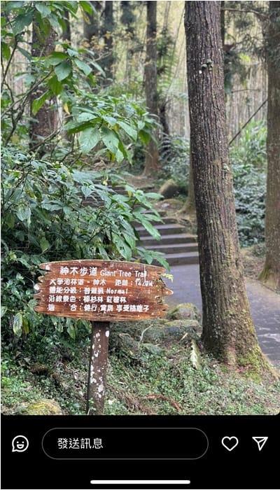 纸飞机俄版