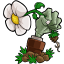 植物大战僵尸逆天版