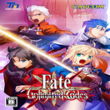 fate无限代码