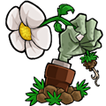 植物大战僵尸IC版