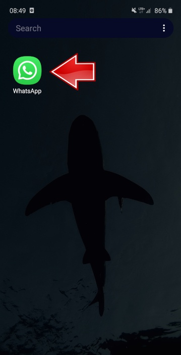 whatsapp手机国际版