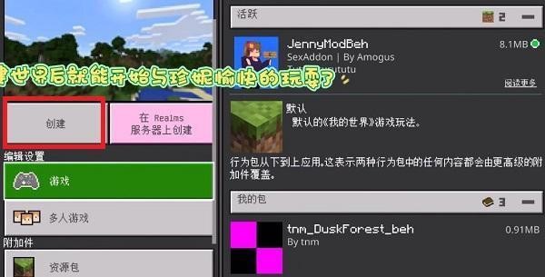 我的世界珍妮冒险