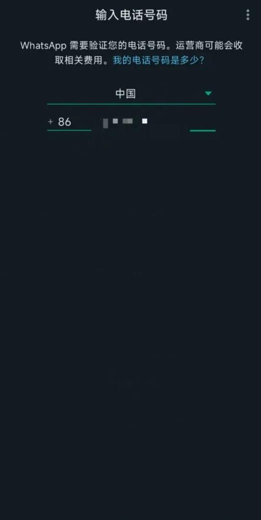 WhatsApp软件