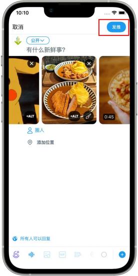 x推特蓝鸟