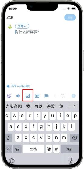 x推特蓝鸟