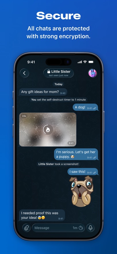 飞机聊天软件telegram