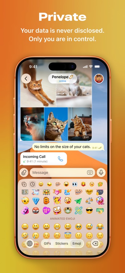 飞机聊天软件telegram