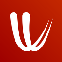 Windy专业版