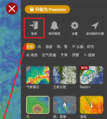 Windy专业版