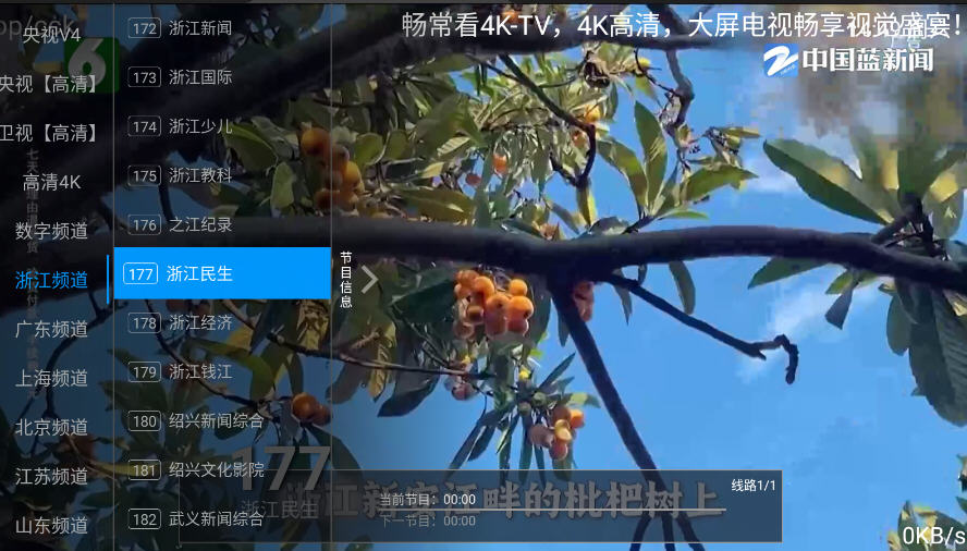 畅播TV