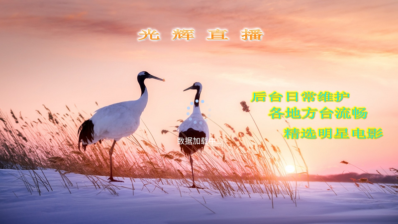 光辉直播截图4