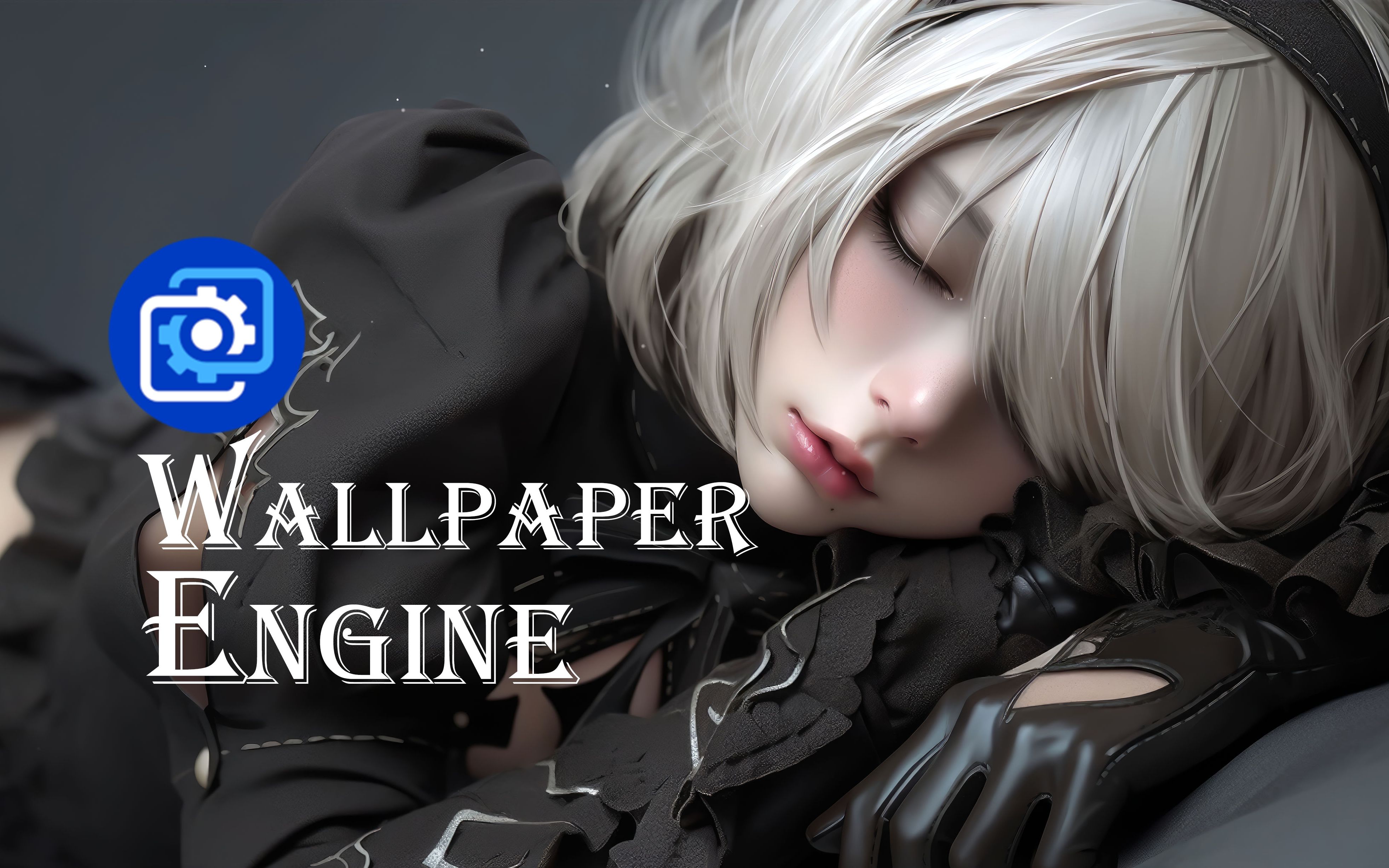 wallpaper版本大全