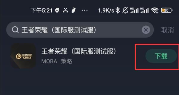 王者荣耀巴西服
