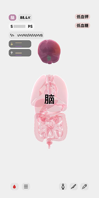生命life