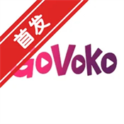 GoVoko AI