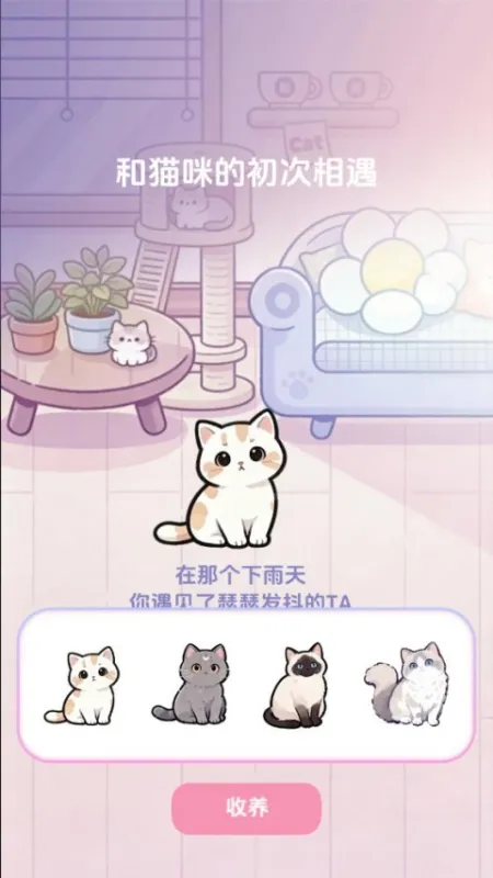 橘子小屋