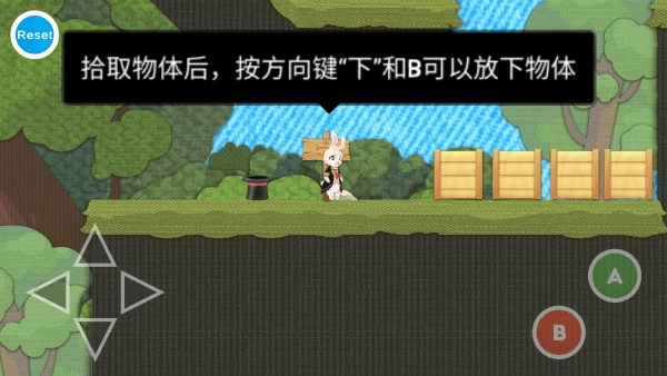 追逐繁星的兔子