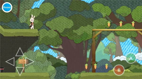 追逐繁星的兔子